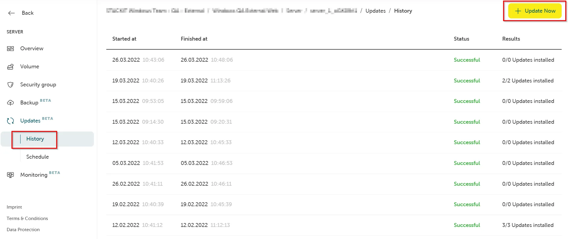 Server-Übersicht Updates/Verlauf mit Tabelle vergangener Update-Jobs und der Schaltfläche „Jetzt aktualisieren".