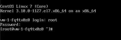 Terminal mit erfolgreicher Root-Anmeldung.